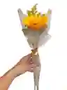 Girasol