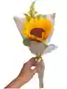 Girasol