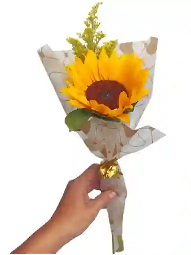 Girasol