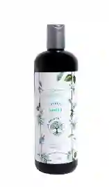 La Receta Shampoo De Argán