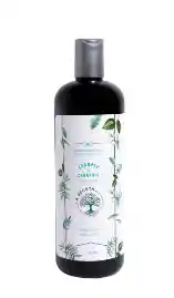 La Receta Shampoo De Argán