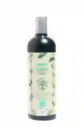 La Receta Shampoo De Romero