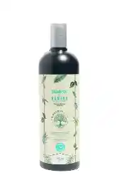 La Receta Shampoo De Romero
