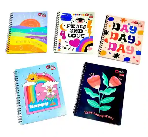 Cuaderno Argollado 80 Hojas Cuadriculado Qnota Scribe Diseños Surtidos Para Mujer