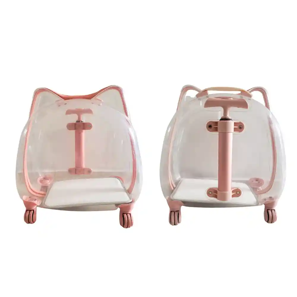 Maleta De Ruedas Transparente Gato En Forma De Gato Calabaza
