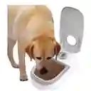 Comedero De Mascota Con Sensor: Control De Comida Al Alcance De Tu Mano