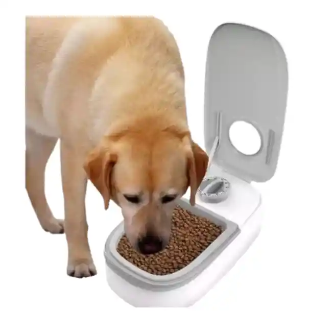 Comedero De Mascota Con Sensor: Control De Comida Al Alcance De Tu Mano