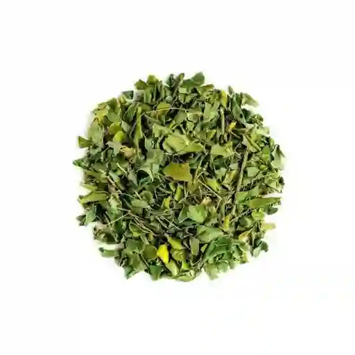 Moringa Hojas