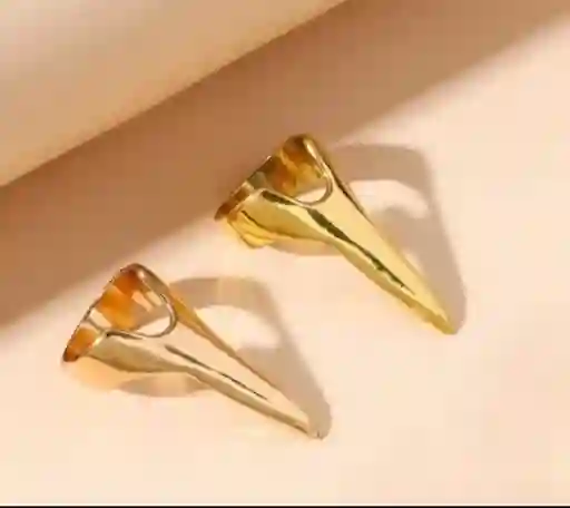 Anillo Garra