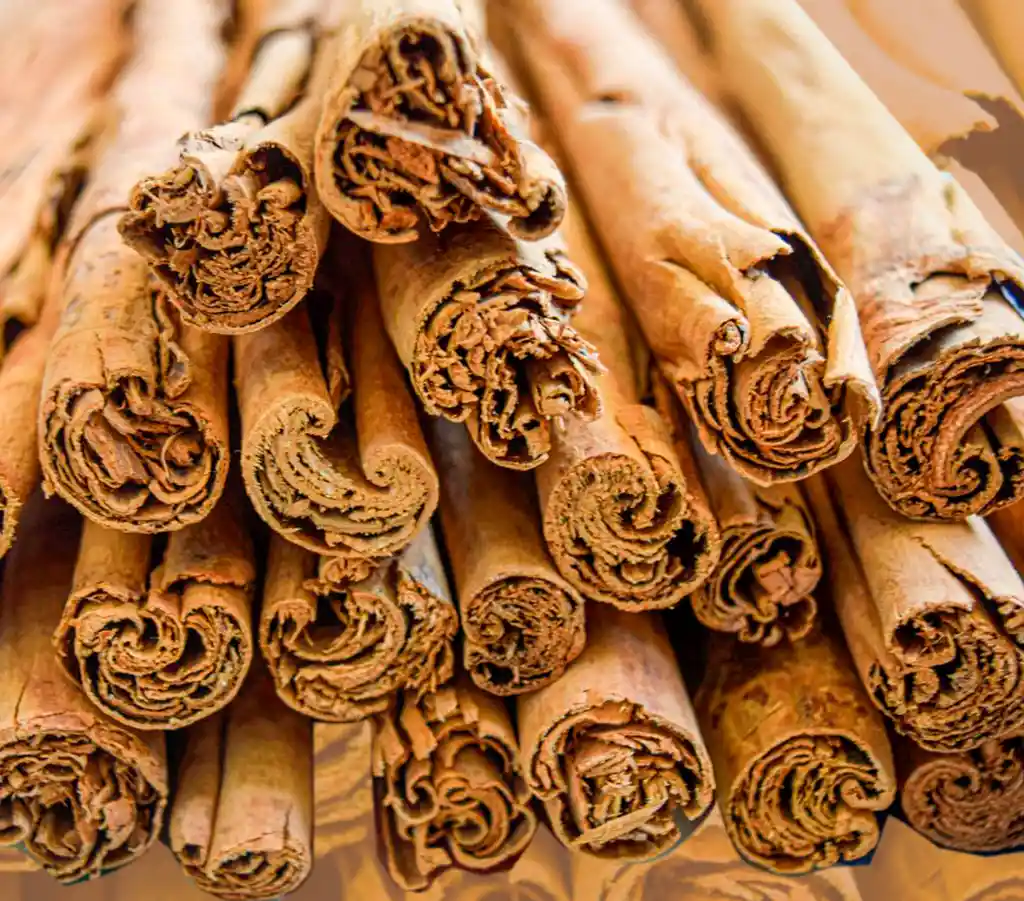 Canela En Astilla