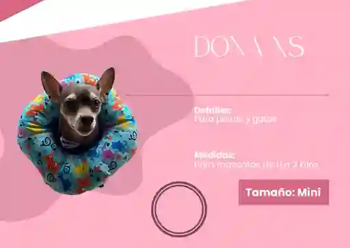 Collar Isabelino Dona Xs 0 A 2 Kg