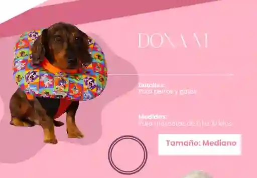Collar Isabelino Dona M 6 A 10 Kg