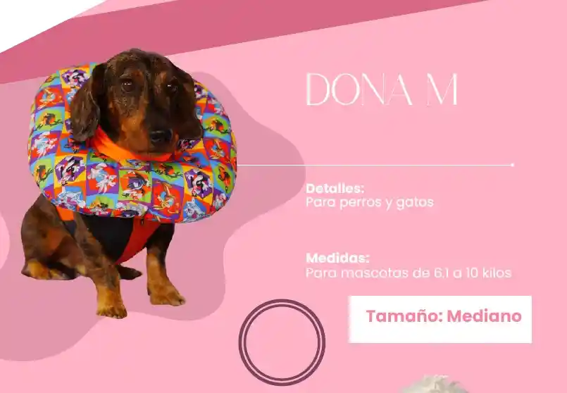 Collar Isabelino Dona M 6 A 10 Kg