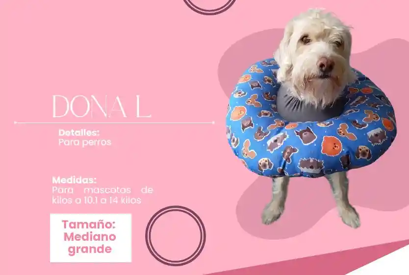 Collar Isabelino Dona L 10 A 14 Kg