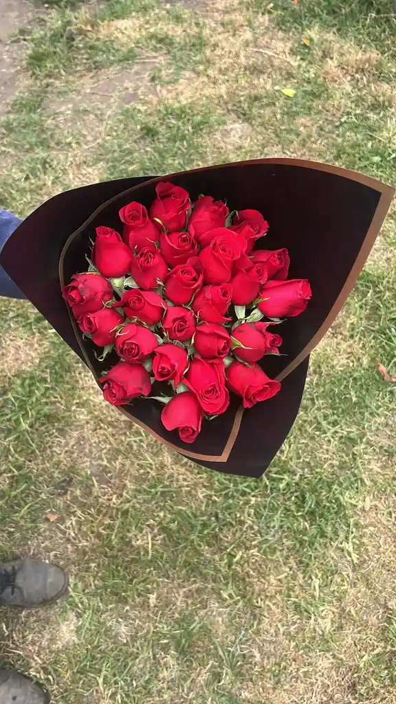 24 Rosas Rojas Premium – Cultivadas Con Amor Y Sostenibilidad