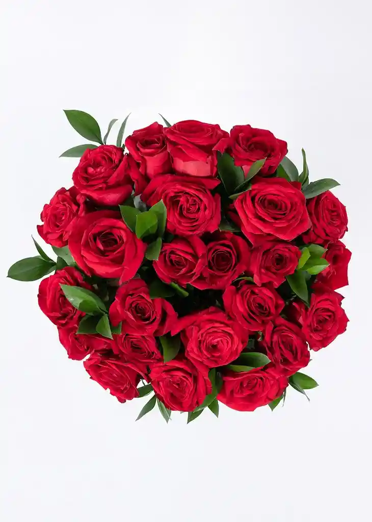 24 Rosas Rojas Premium – Cultivadas Con Amor Y Sostenibilidad