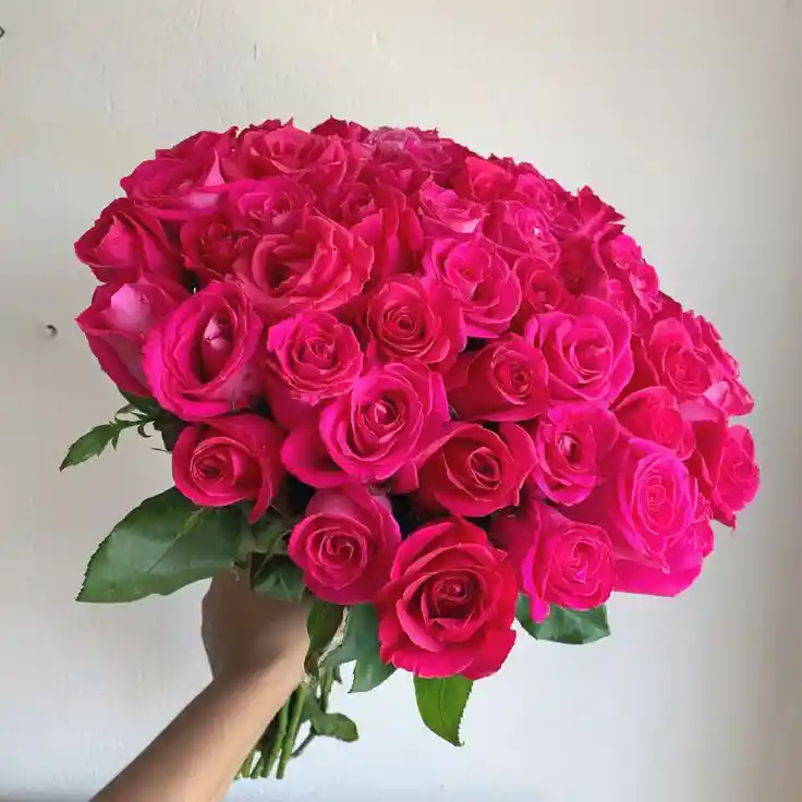 24 Rosas Fucsia Premium – Cultivadas Con Amor Y Sostenibilidad
