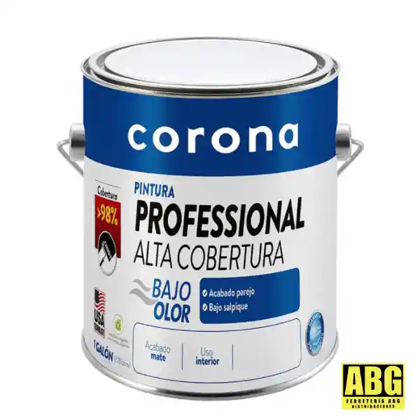 Pintura Vinilo Negro Galon