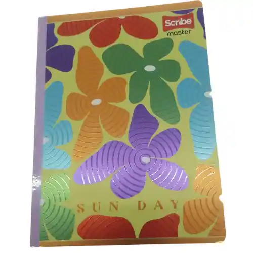 Cuaderno Scribe Master Sticker 95-100hj Dama