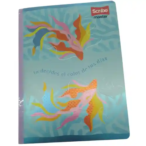 Cuaderno Scribe Master Sticker 95-100hj Dama