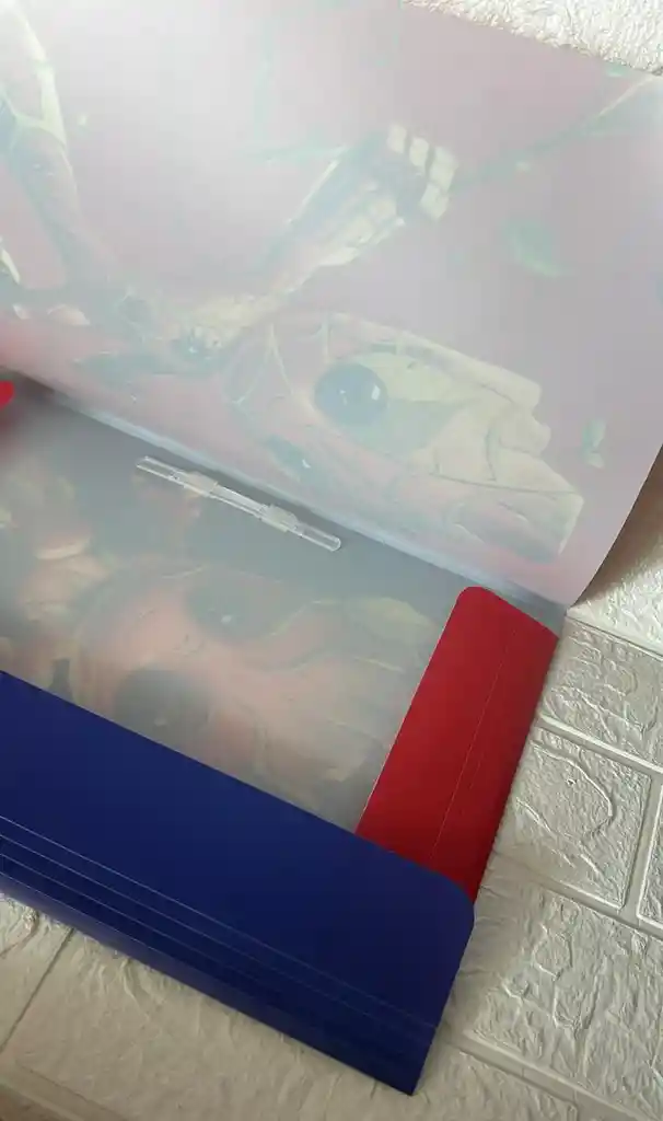 Carpeta Plastica Resorte Primavera Oficio Groot
