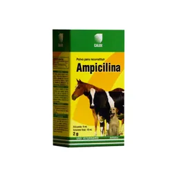 Ampicilina Calox 2gr