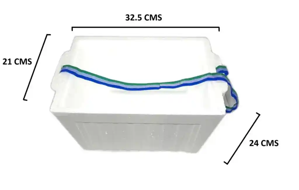 Nevera De Icopor De 10 Litros Con Correa Para Sujetar