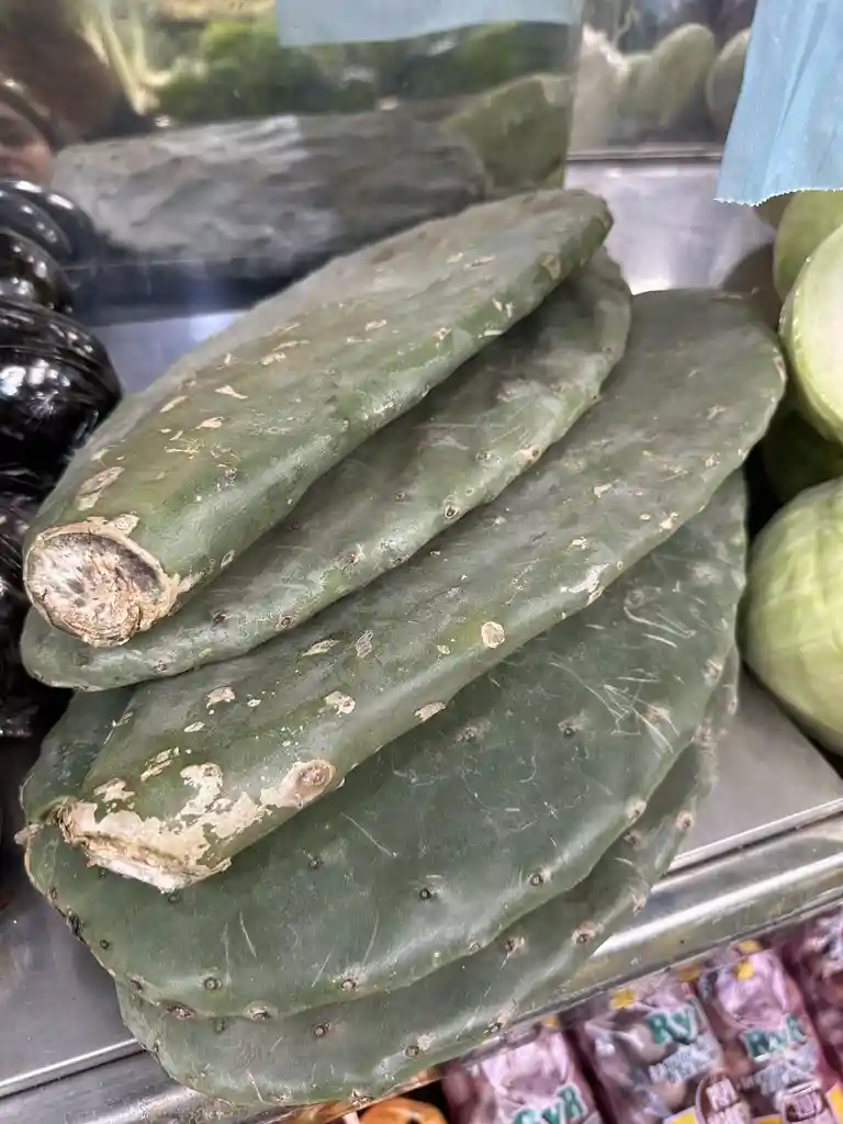 Nopal