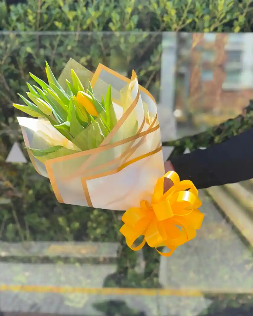 Tulipanes Obsesión