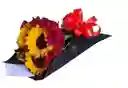 Bouquet Rayos De Amor
