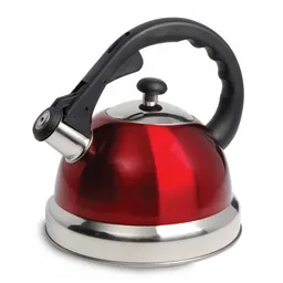 Tetera Mr Coffee
