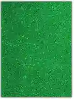 Foamy Escarchado, Verde Oscuro - Carta