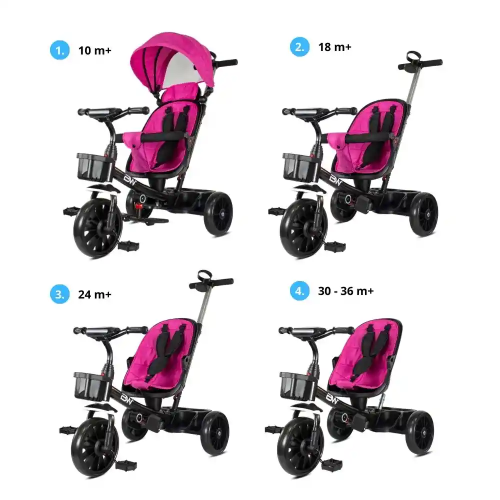 Triciclo Ryder Purple
