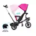 Triciclo Ryder Purple
