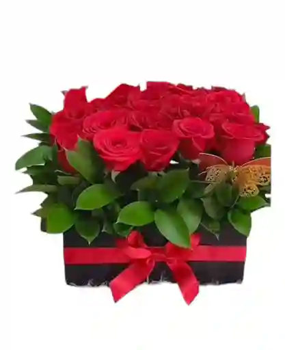 Caja De 24 Rosas