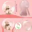 Globos Burbuja