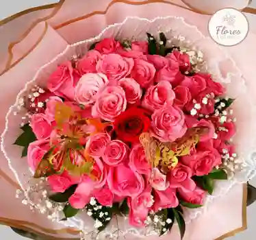 Bouquet Noviasgo