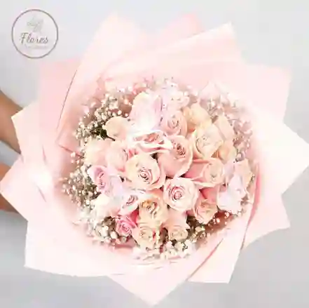 Buchon 24 Rosas Pink