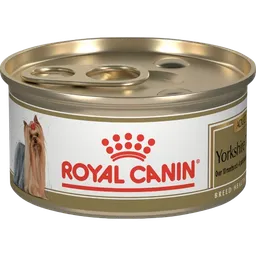 Royal Canin Yorkshire Lata