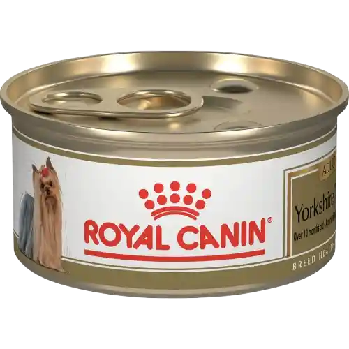 Royal Canin Yorkshire Lata