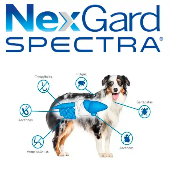 Nexgard Spectra Xl (30-60kg)