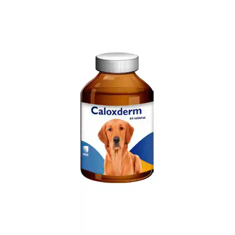 Caloxderm Calox X 60tab