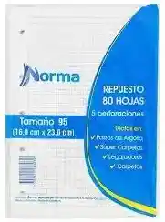 Respuesto Norma Hojas Folder 21 X28 X 80 Hojas
