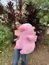 Peluche Capibara Gigante 100 Cm