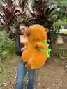 Peluche Capibara Gigante 100 Cm