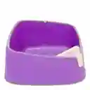 Caja De Arena Para Gatos Caja De Gatos Abierta Con Pala