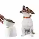Plato De Comida Elevado Para Mascotas Acero Inoxidable