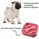 Plato Para Mascotas Alimentación Lenta Antideslizantes