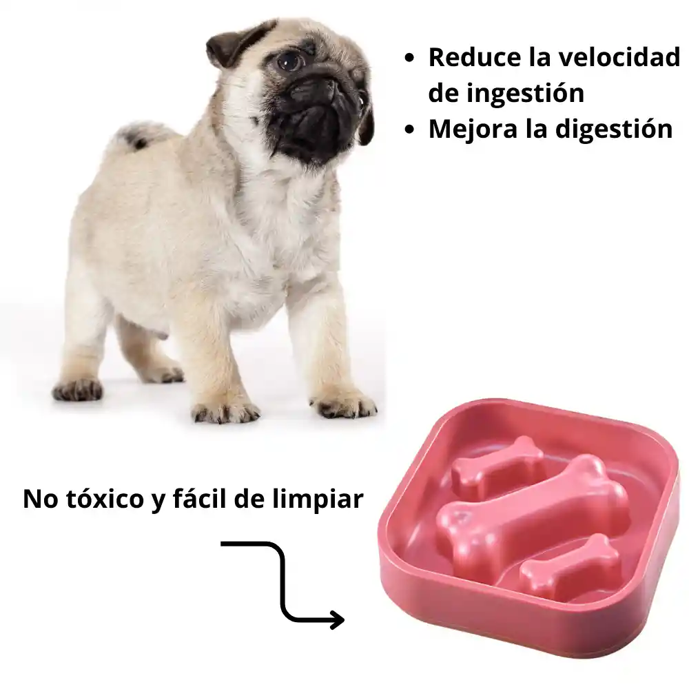 Plato Para Mascotas Alimentación Lenta Antideslizantes