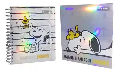 Agenda Libreta Snoppy Peanuts Stickers 22cm Prismatica